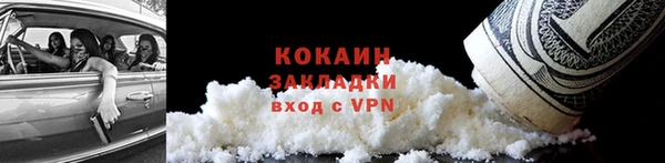 ГАЛЛЮЦИНОГЕННЫЕ ГРИБЫ Аркадак