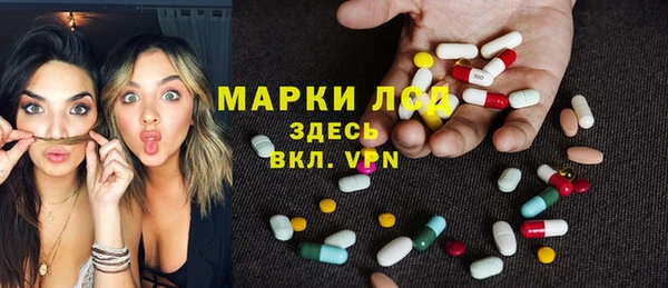 ГАЛЛЮЦИНОГЕННЫЕ ГРИБЫ Аркадак