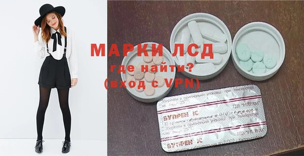 ГАЛЛЮЦИНОГЕННЫЕ ГРИБЫ Аркадак